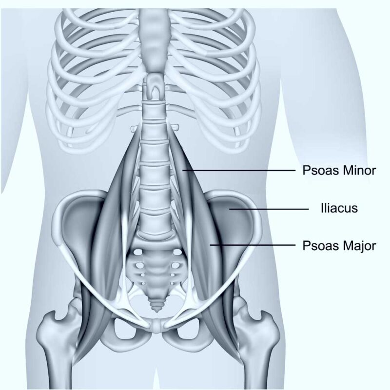 Psoas Impingement | Orthopedic Hip Specialist | Manhattan, New York