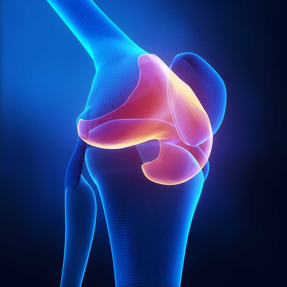 Knee Articular Cartilage | Manhattan NY